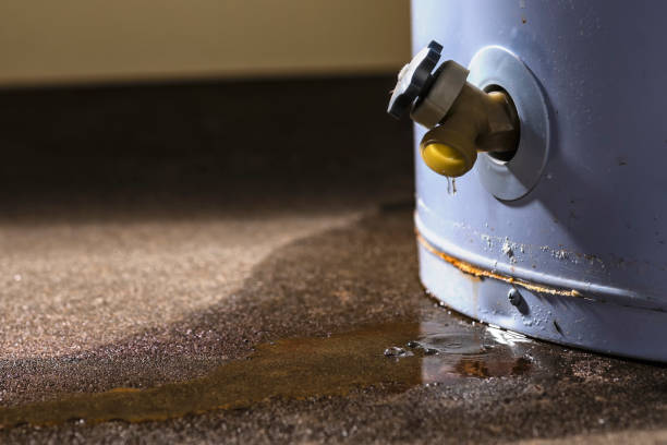 Best Water damage restoration near me  in Halesite, NY