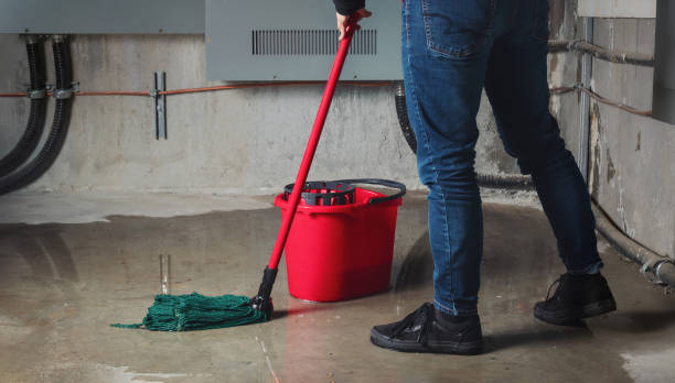Best Water damage restoration near me  in Halesite, NY