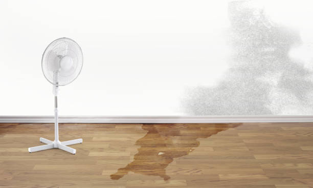 Best 24-hour water damage restoration  in Halesite, NY