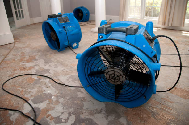 Best Water damage restoration specialists  in Halesite, NY