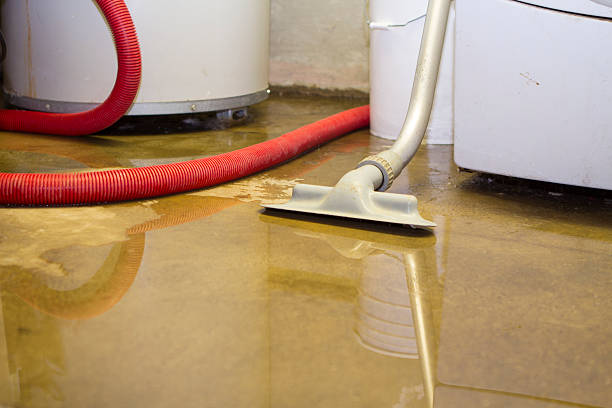 Best Local water damage restoration  in Halesite, NY